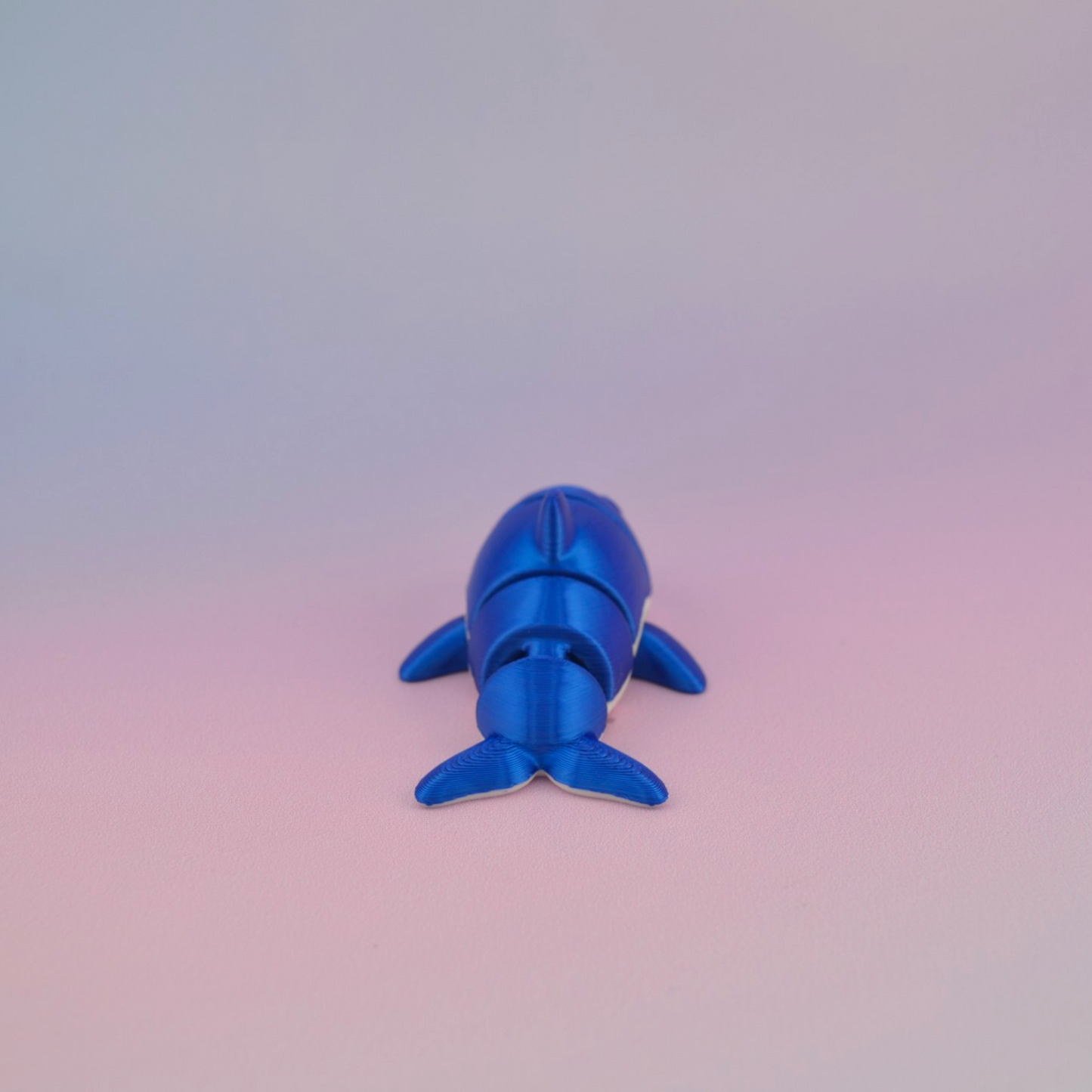 Mini Dolphin