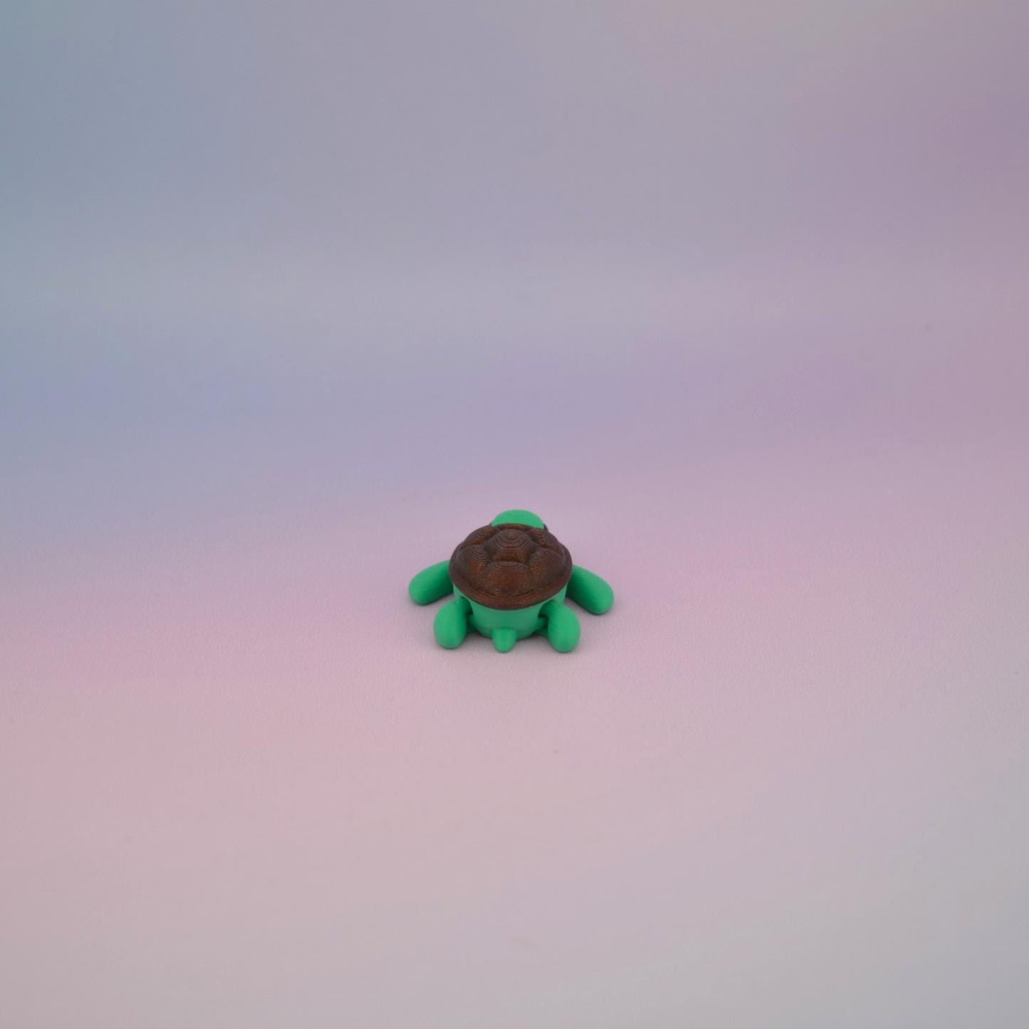 Teeny Tiny Turtle