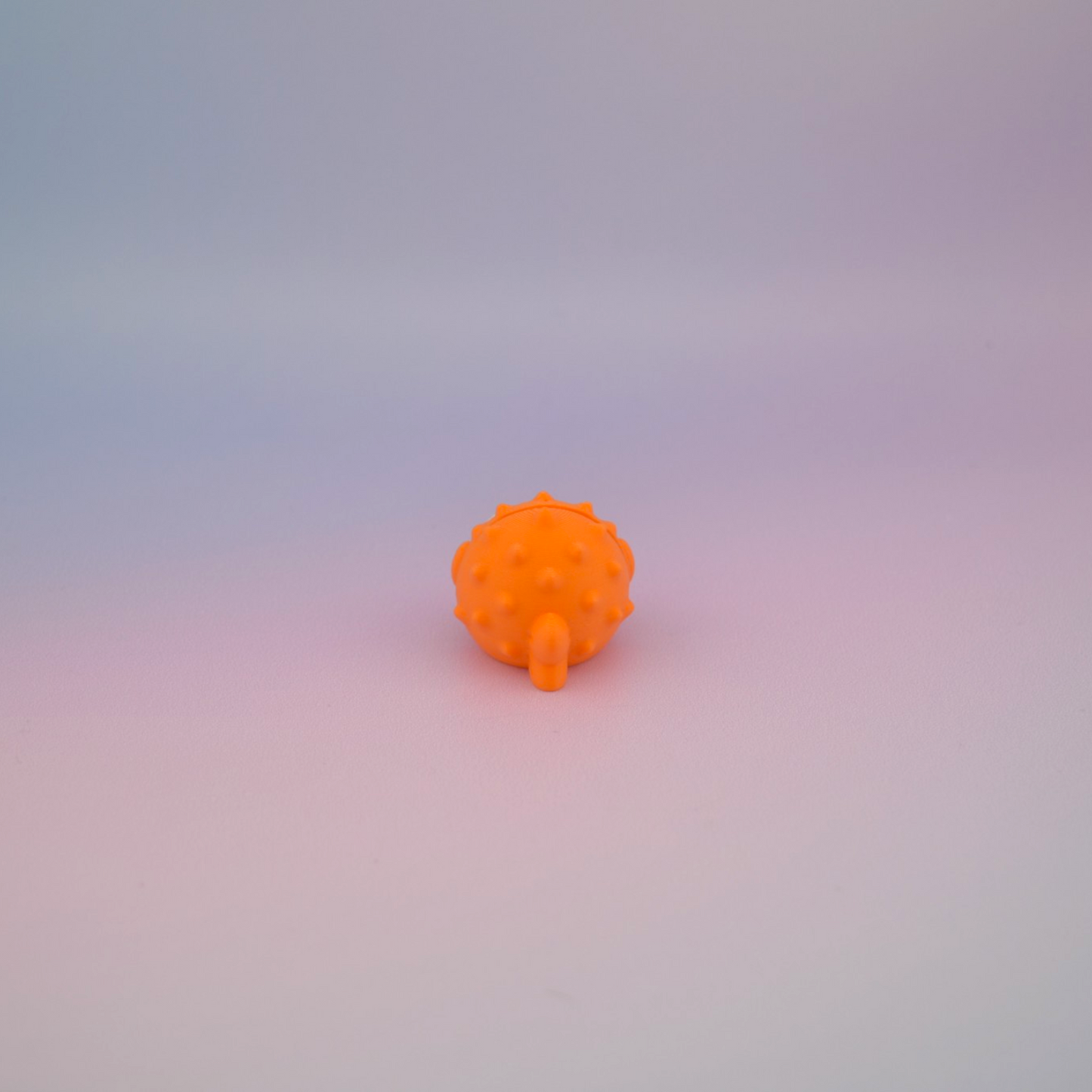 Teeny Tiny Puffer Fish