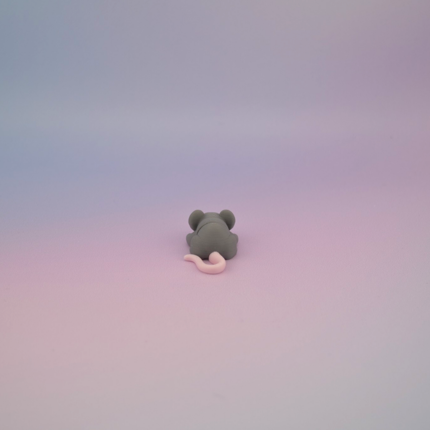 Teeny Tiny Mouse