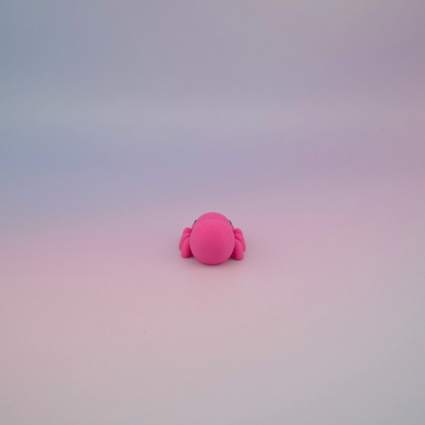 Teeny Tiny Spider