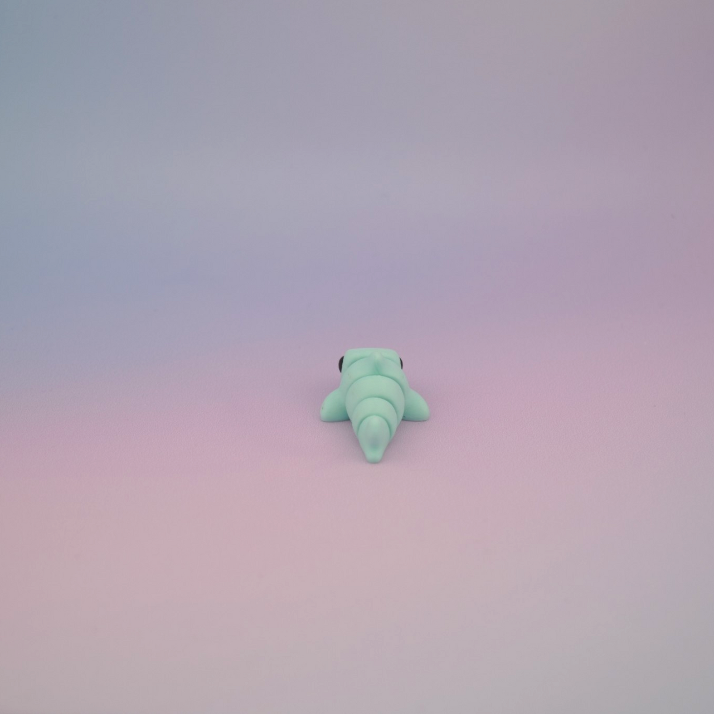 Teeny Tiny Shark