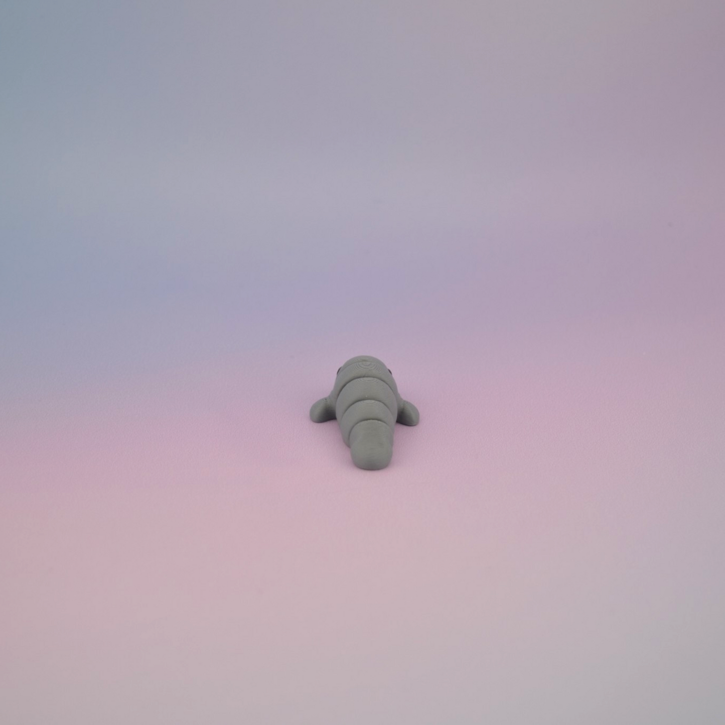 Teeny Tiny Manatee