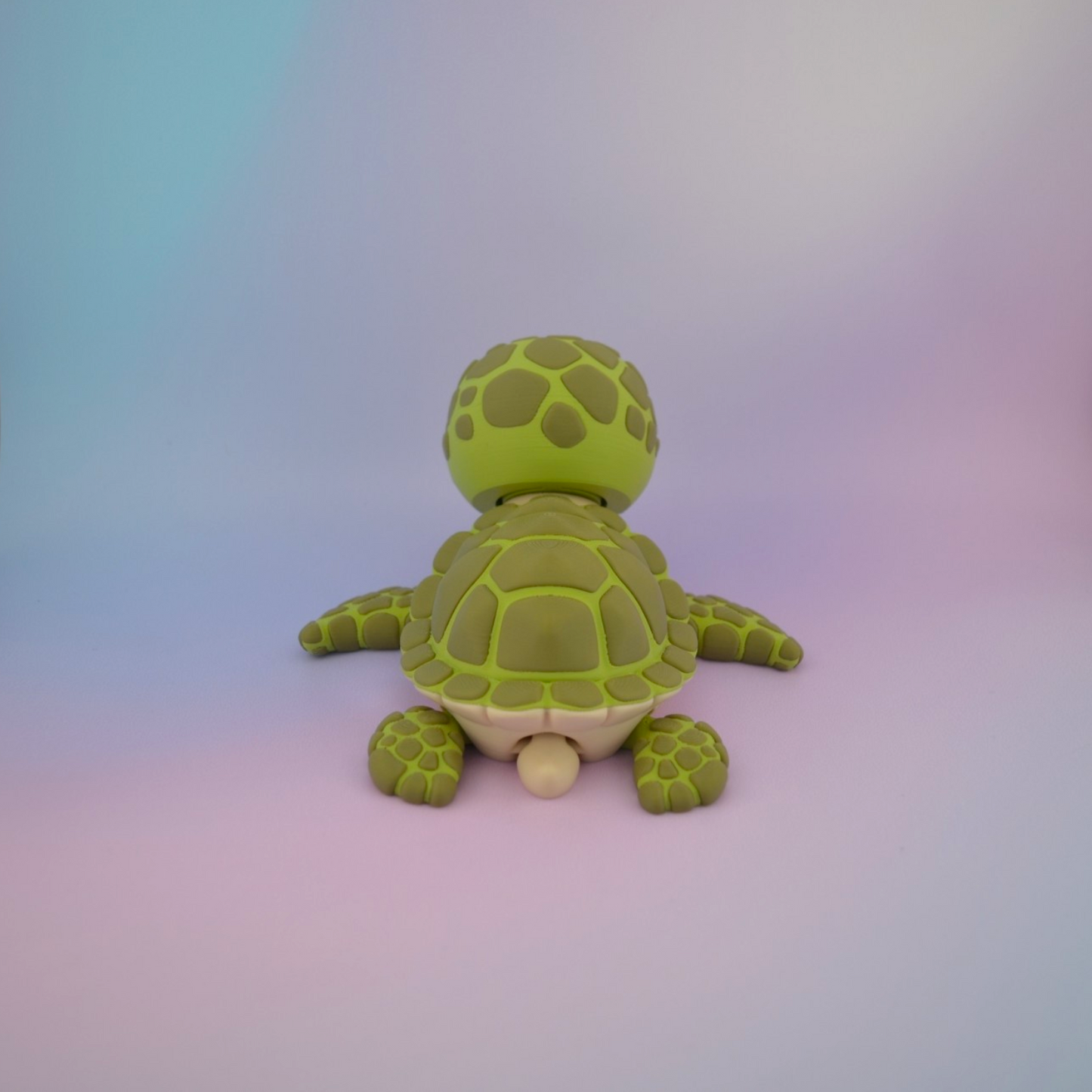Happy Sea Turtle