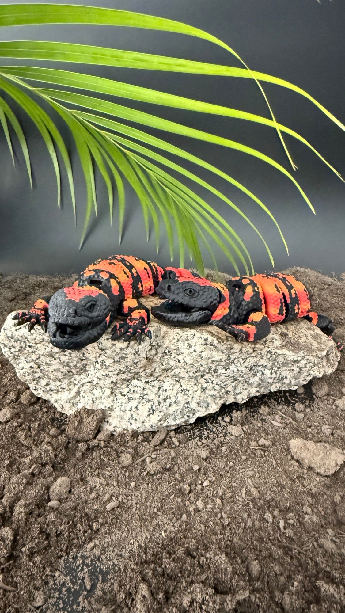 Banded Gila Monster