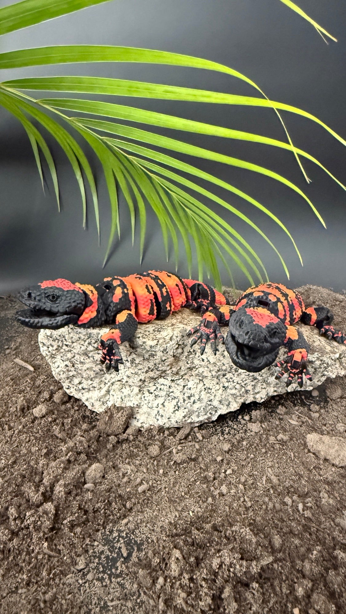Banded Gila Monster