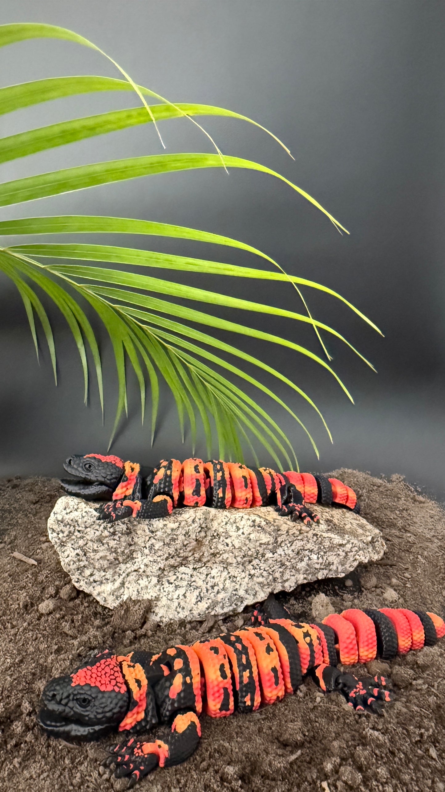 Banded Gila Monster