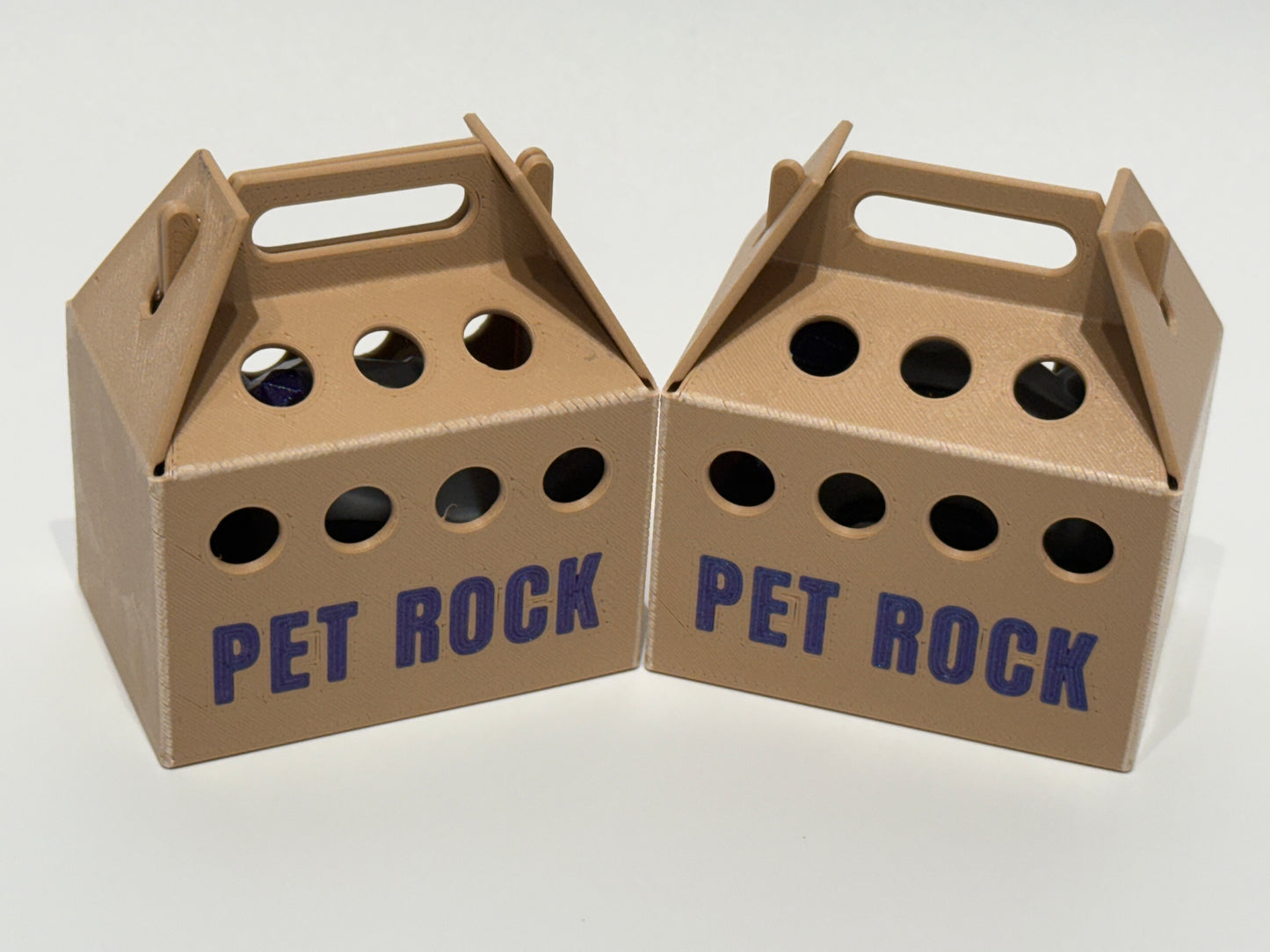 Pet Rock & Box