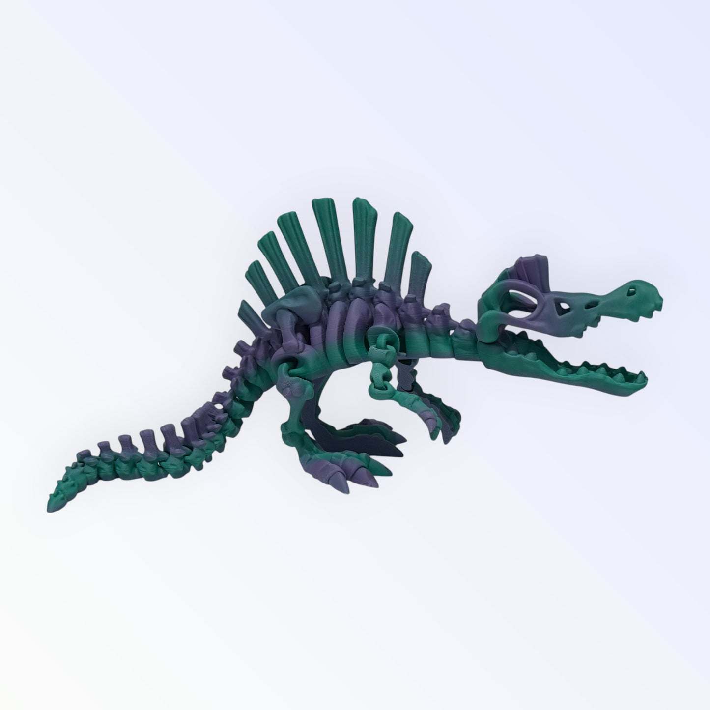 Unique 3D Printed Skeleton Animals β Dinosaurs, Sharks & More