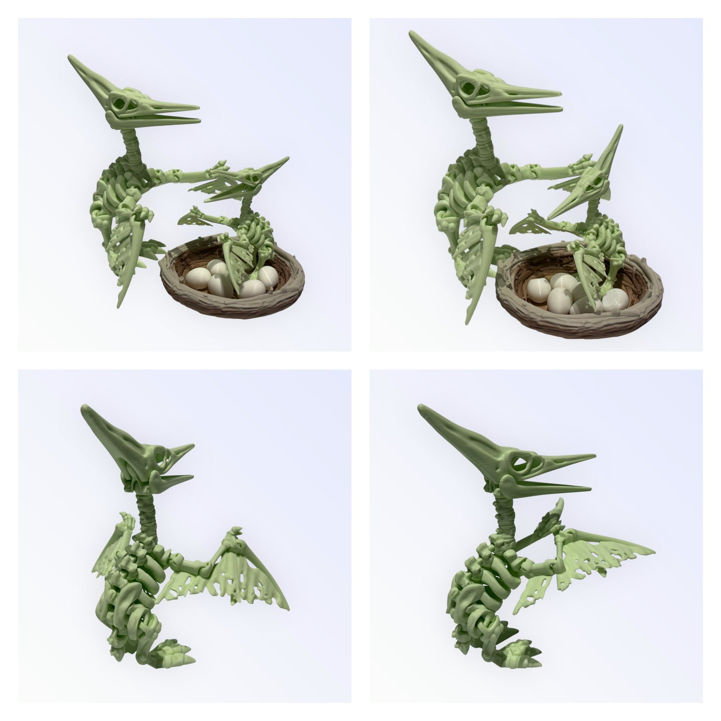 Unique 3D Printed Skeleton Animals β Dinosaurs, Sharks & More