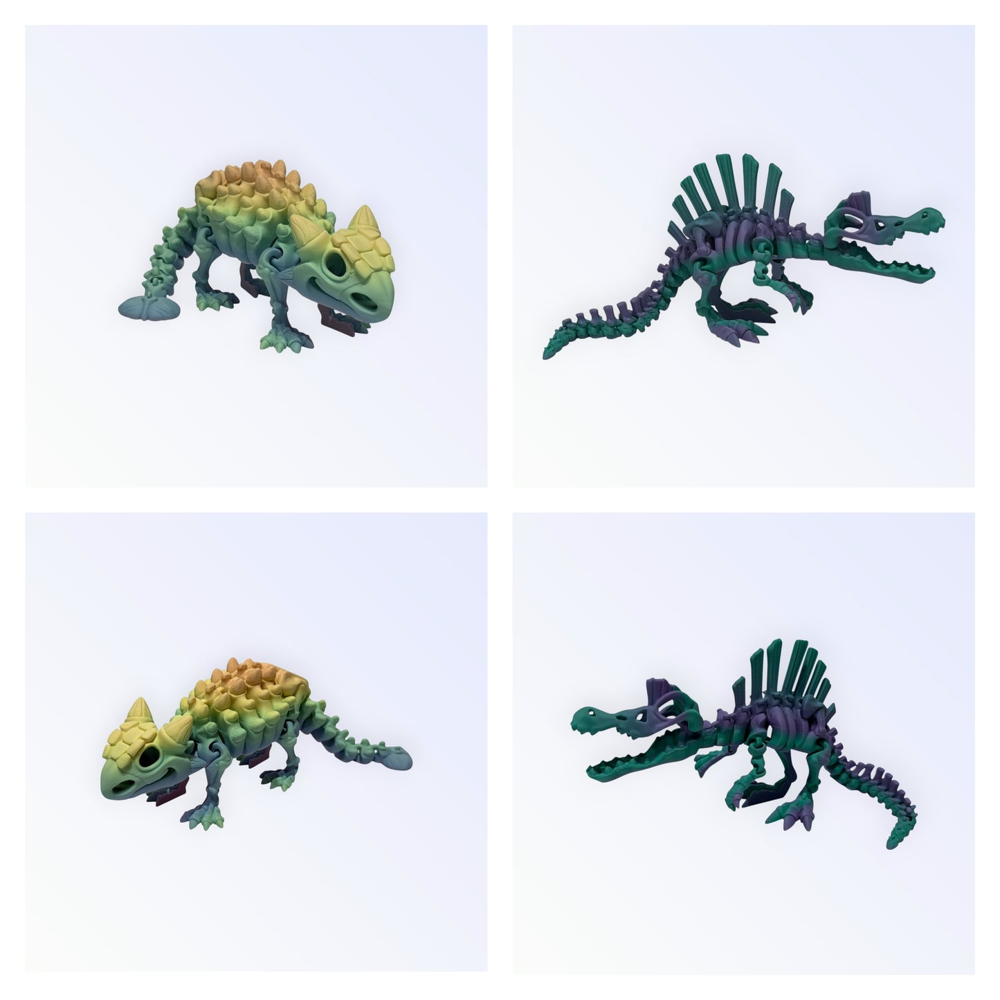 Unique 3D Printed Skeleton Animals β Dinosaurs, Sharks & More