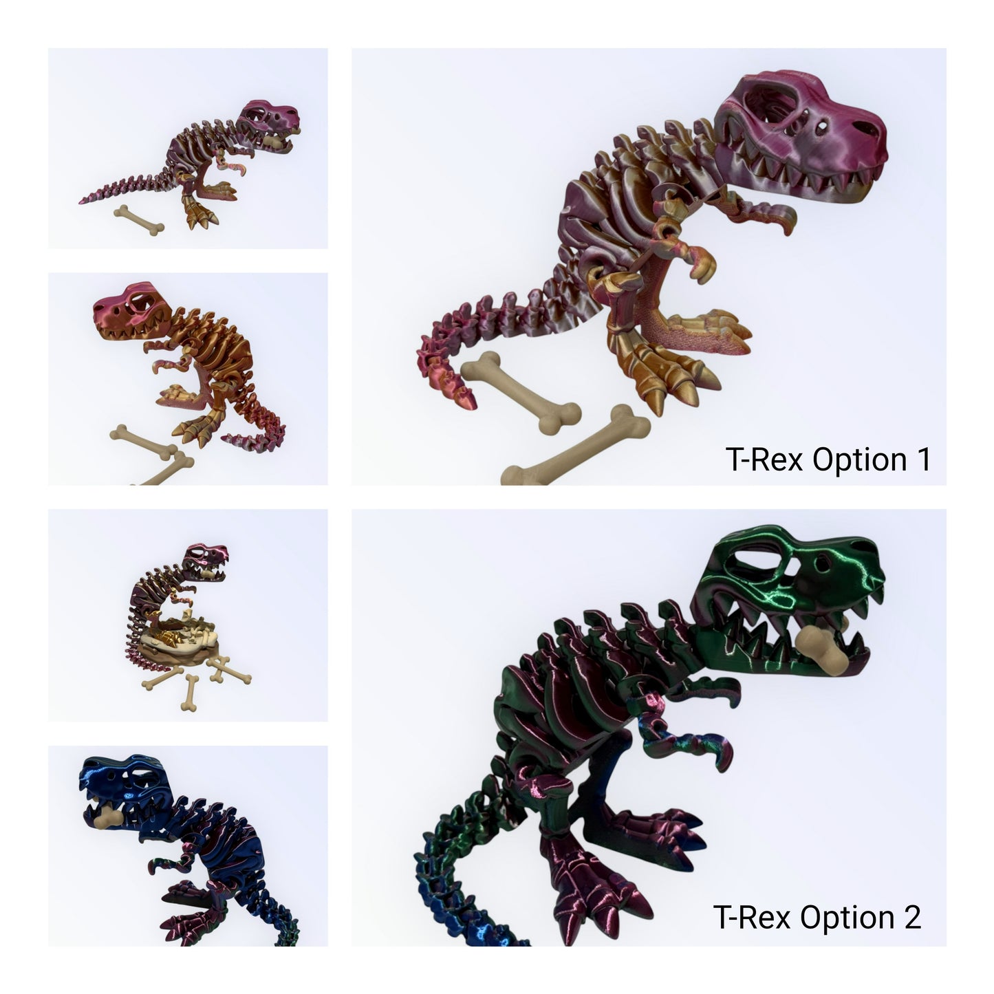 Unique 3D Printed Skeleton Animals β Dinosaurs, Sharks & More