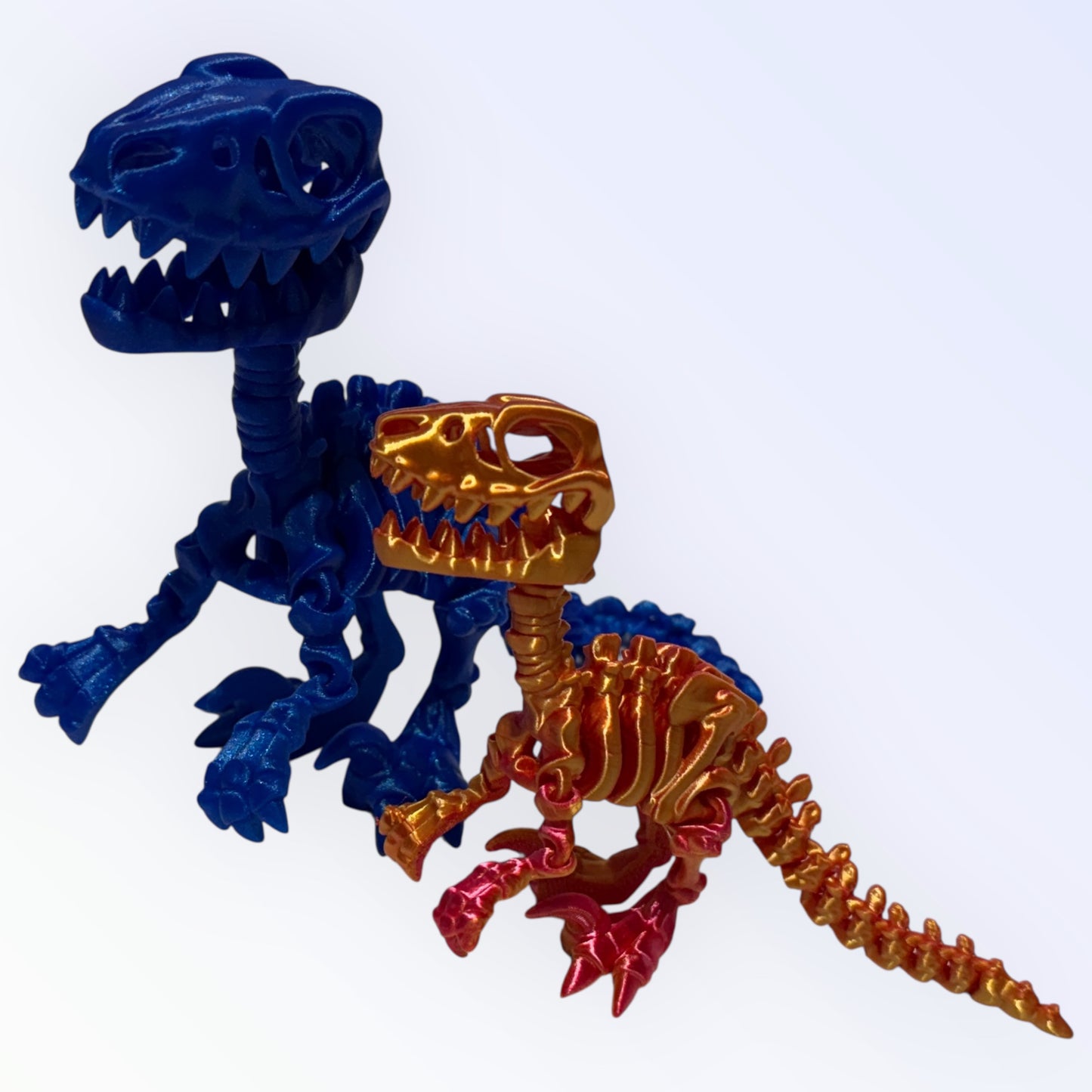 Unique 3D Printed Skeleton Animals β Dinosaurs, Sharks & More