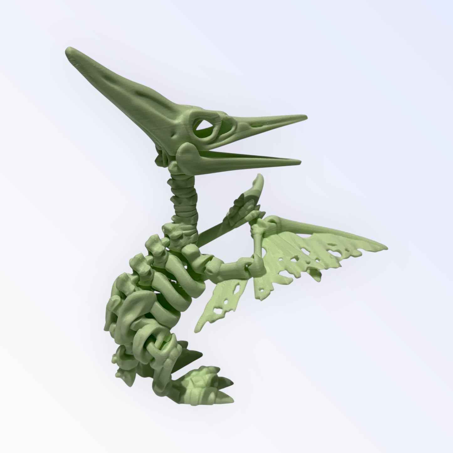 Unique 3D Printed Skeleton Animals β Dinosaurs, Sharks & More