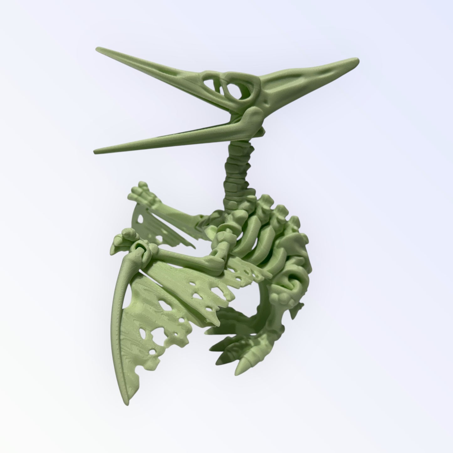Unique 3D Printed Skeleton Animals β Dinosaurs, Sharks & More