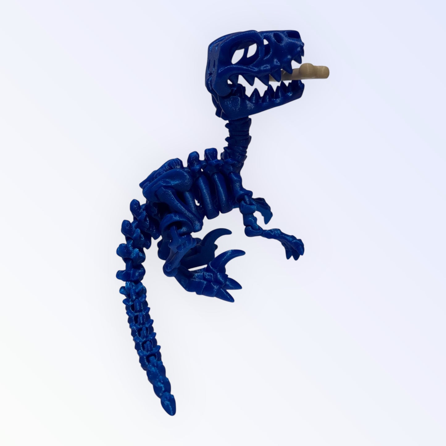 Unique 3D Printed Skeleton Animals β Dinosaurs, Sharks & More