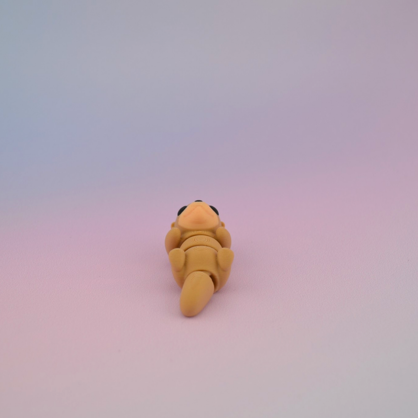 Teeny Tiny Otter