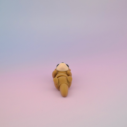 Teeny Tiny Otter