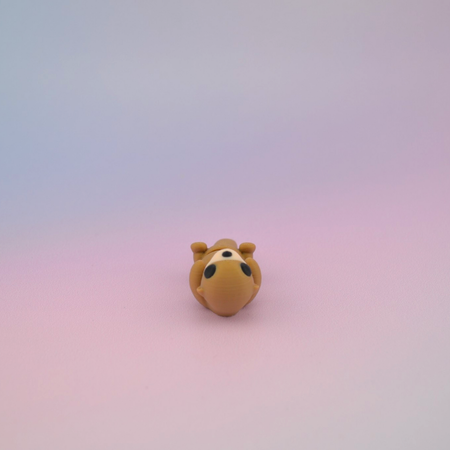 Teeny Tiny Otter