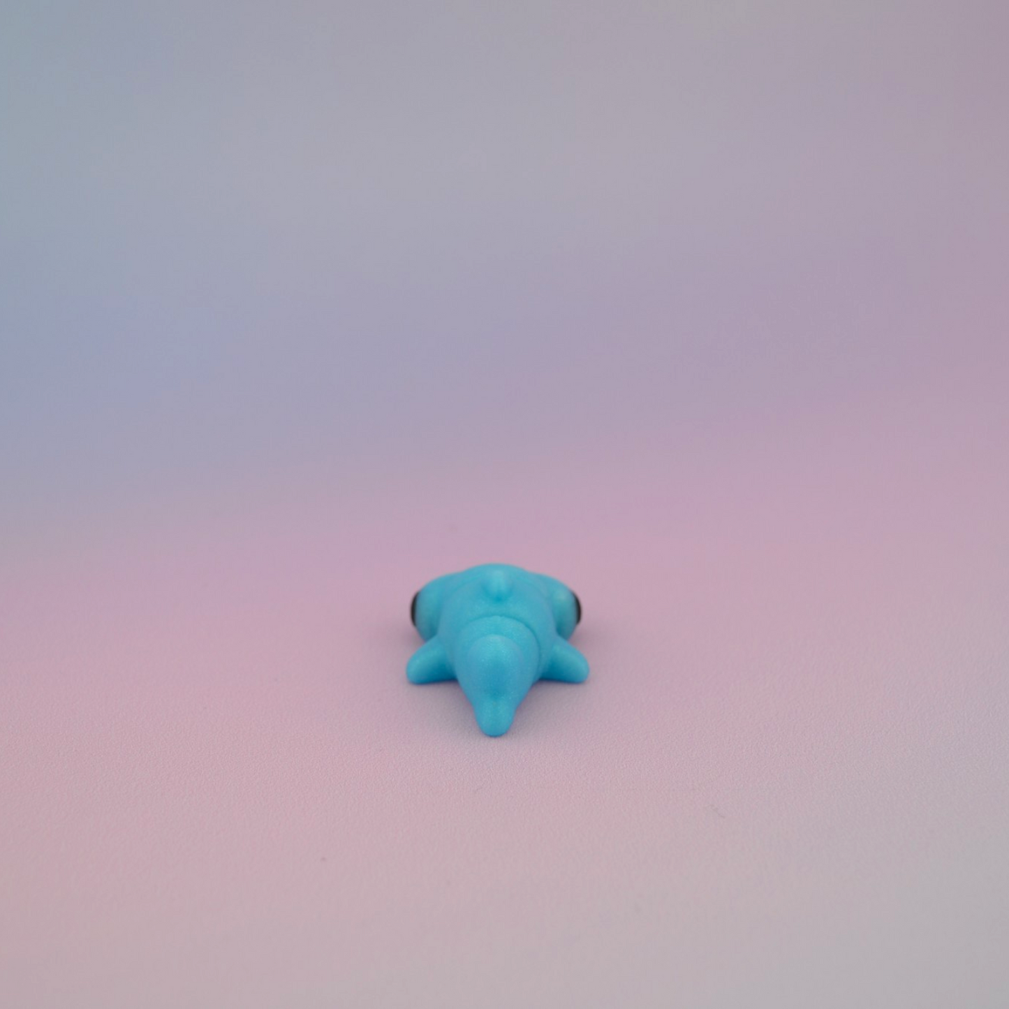 Teeny Tiny Hammerhead Shark
