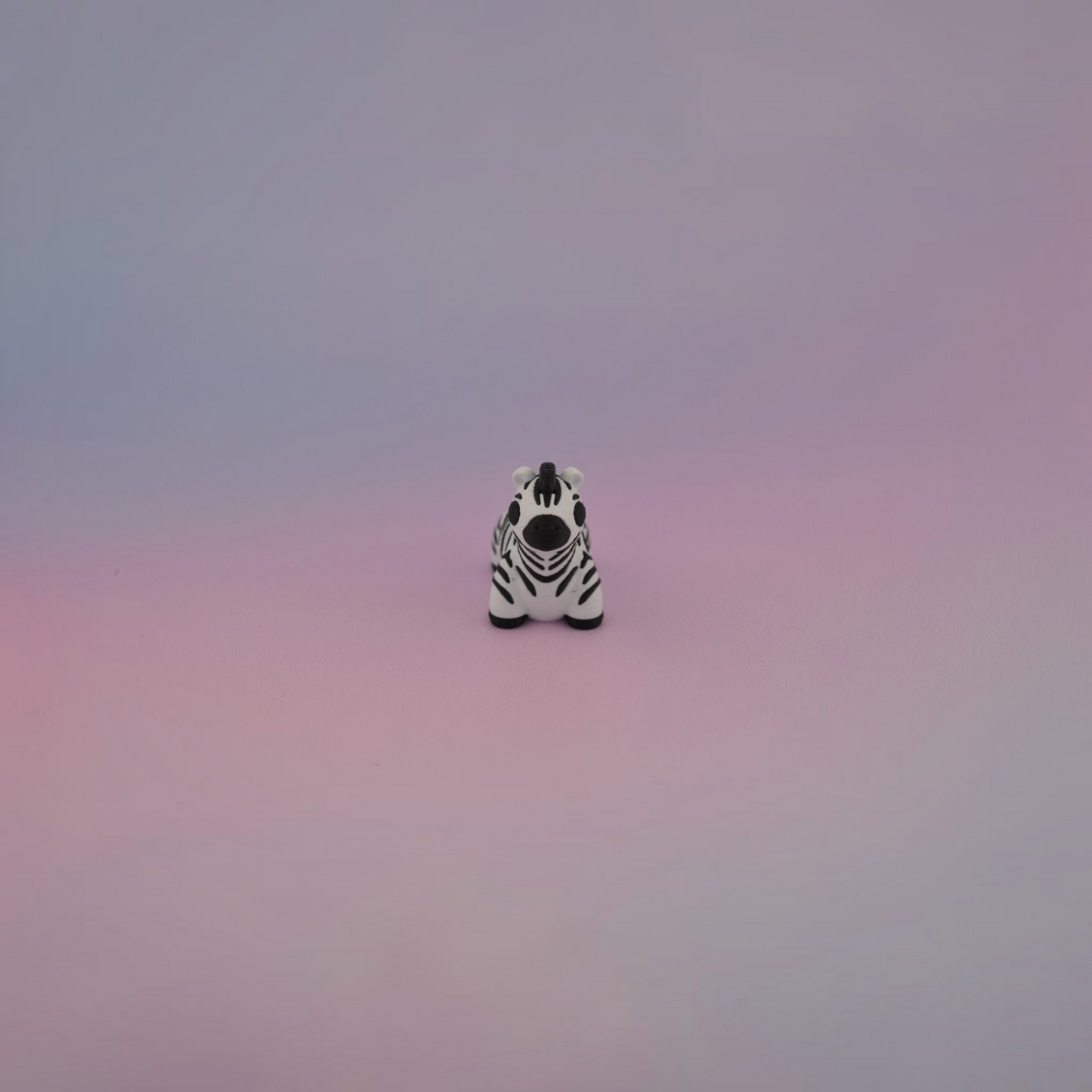 Teeny Tiny Zebra
