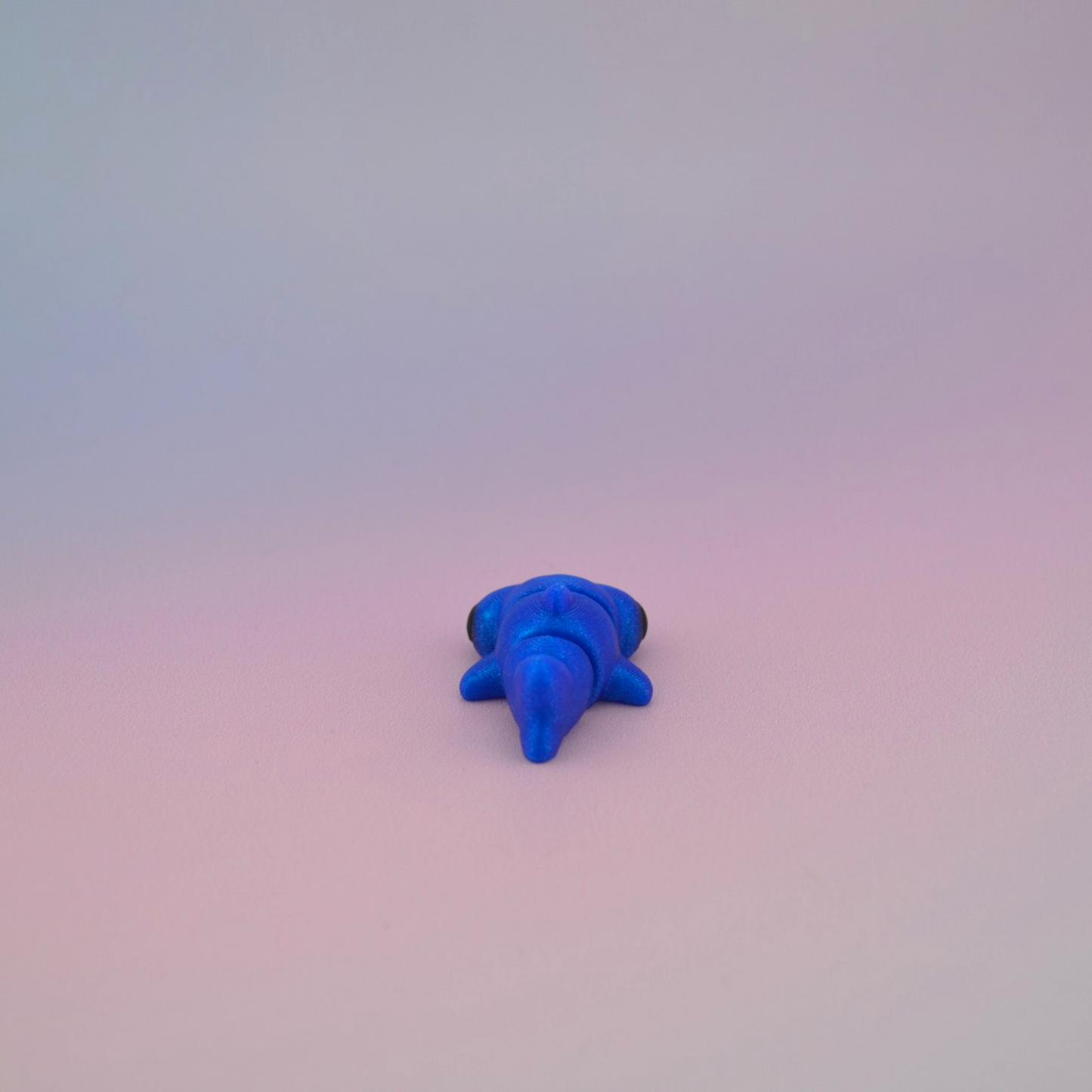 Teeny Tiny Hammerhead Shark