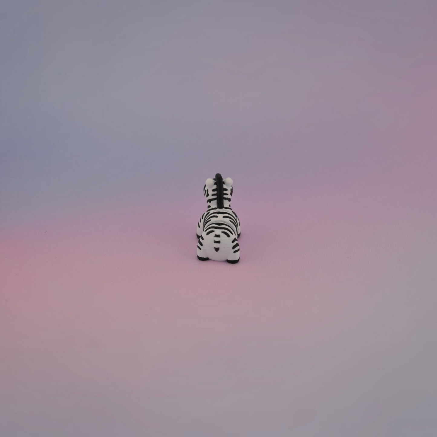 Teeny Tiny Zebra