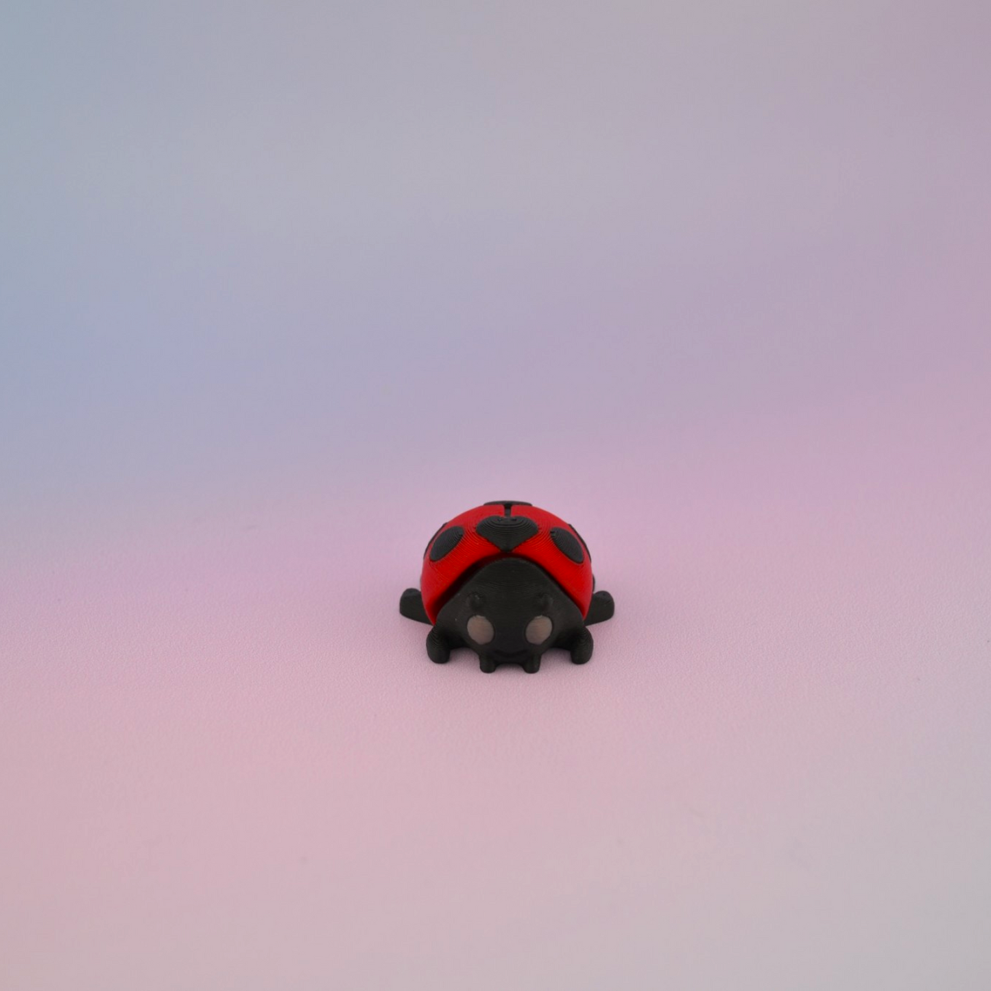Teeny Tiny Ladybug