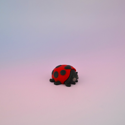 Teeny Tiny Ladybug