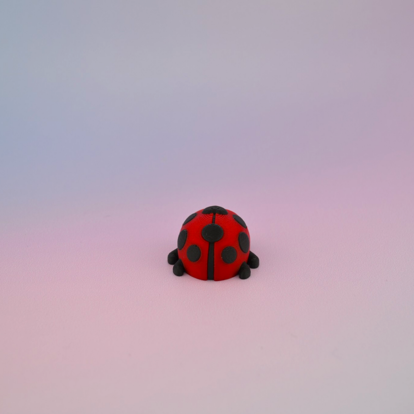 Teeny Tiny Ladybug