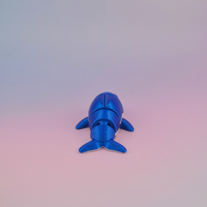 Mini Dolphin