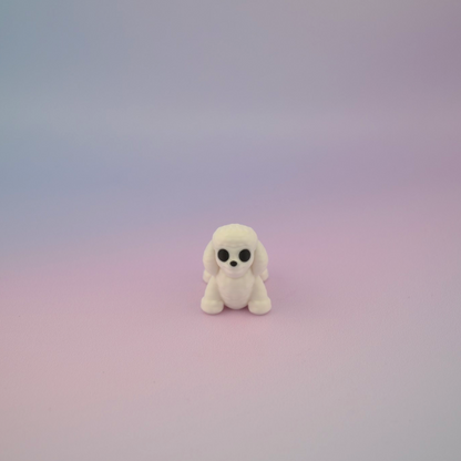 Teeny Tiny Poodle
