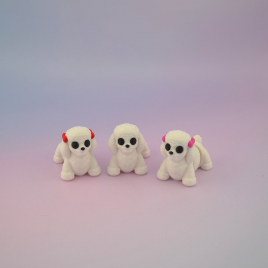 Teeny Tiny Poodle