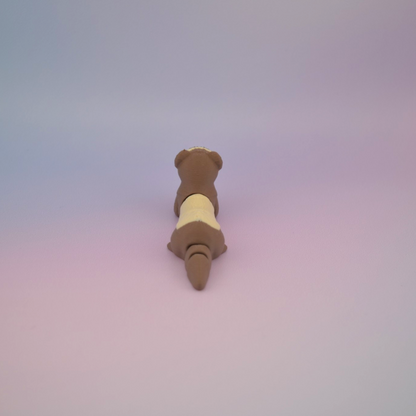 Mini Ferret