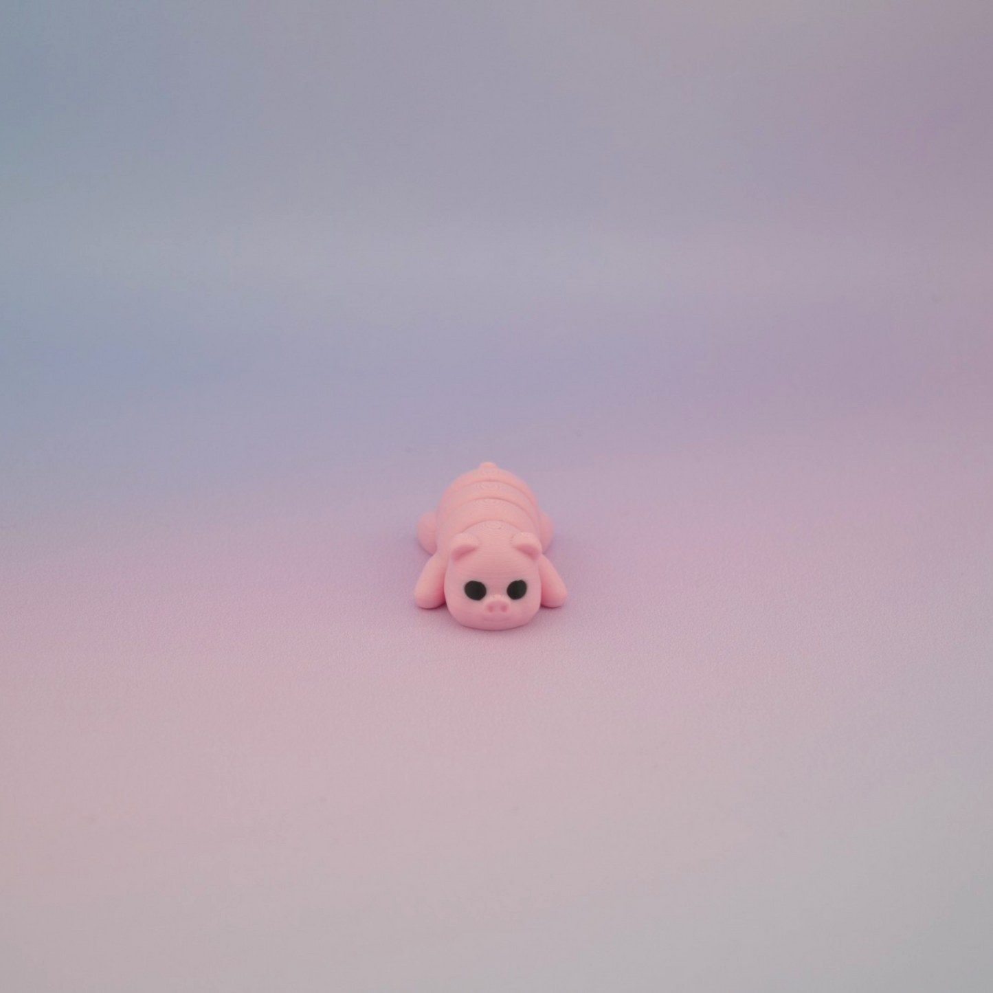Teeny Tiny Pig