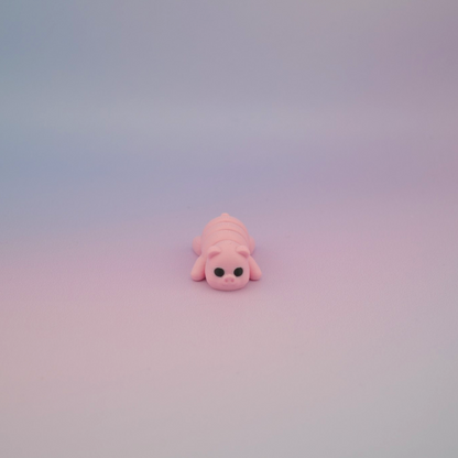 Teeny Tiny Pig