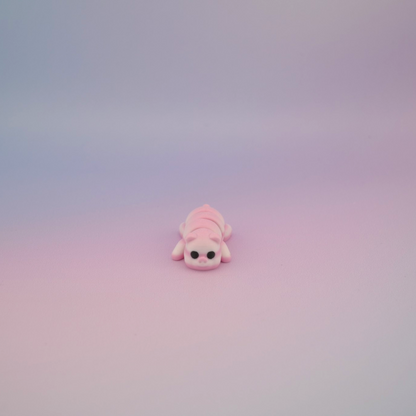 Teeny Tiny Pig