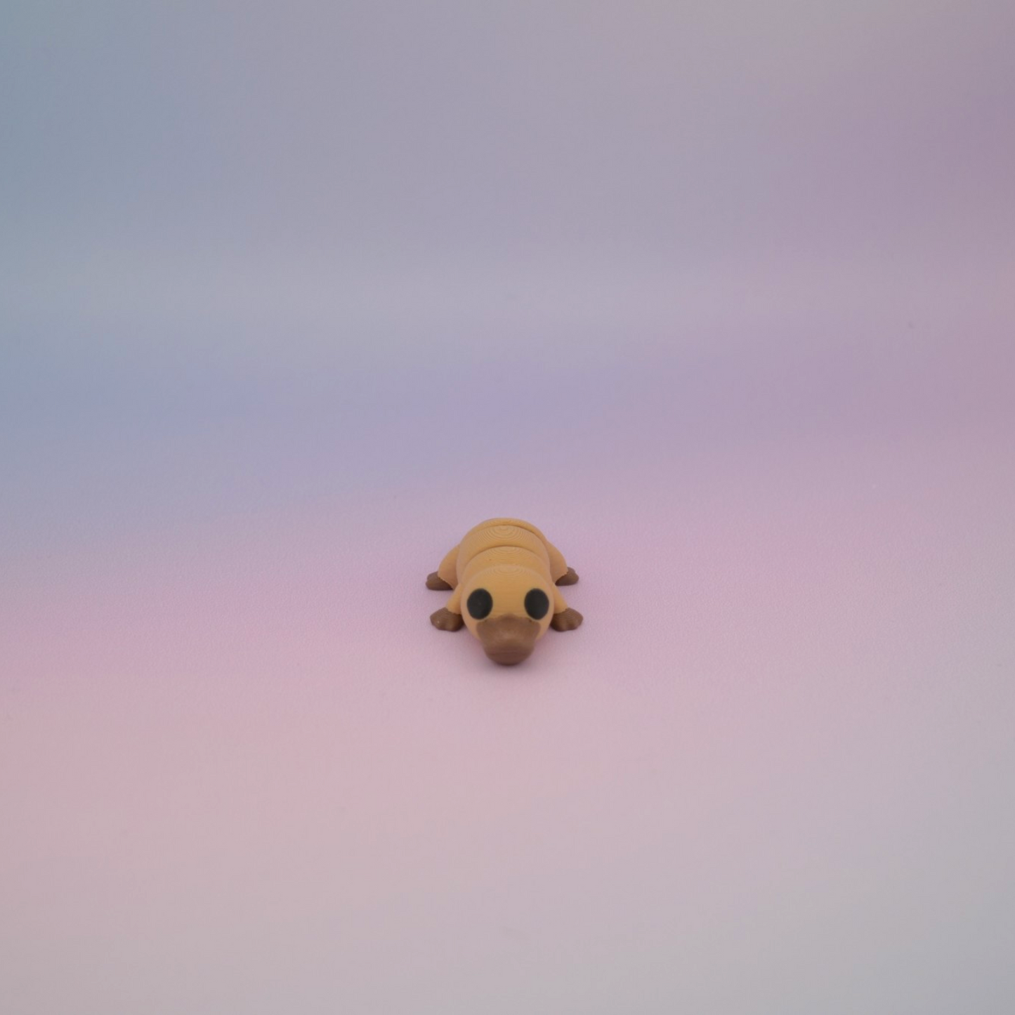 Teeny Tiny Platypus
