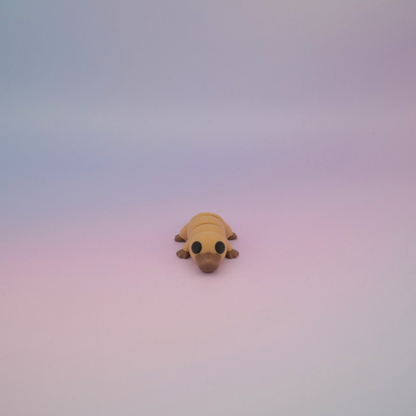 Teeny Tiny Platypus