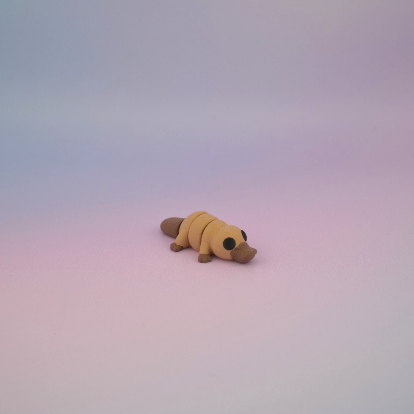 Teeny Tiny Platypus