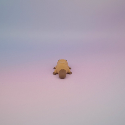 Teeny Tiny Platypus