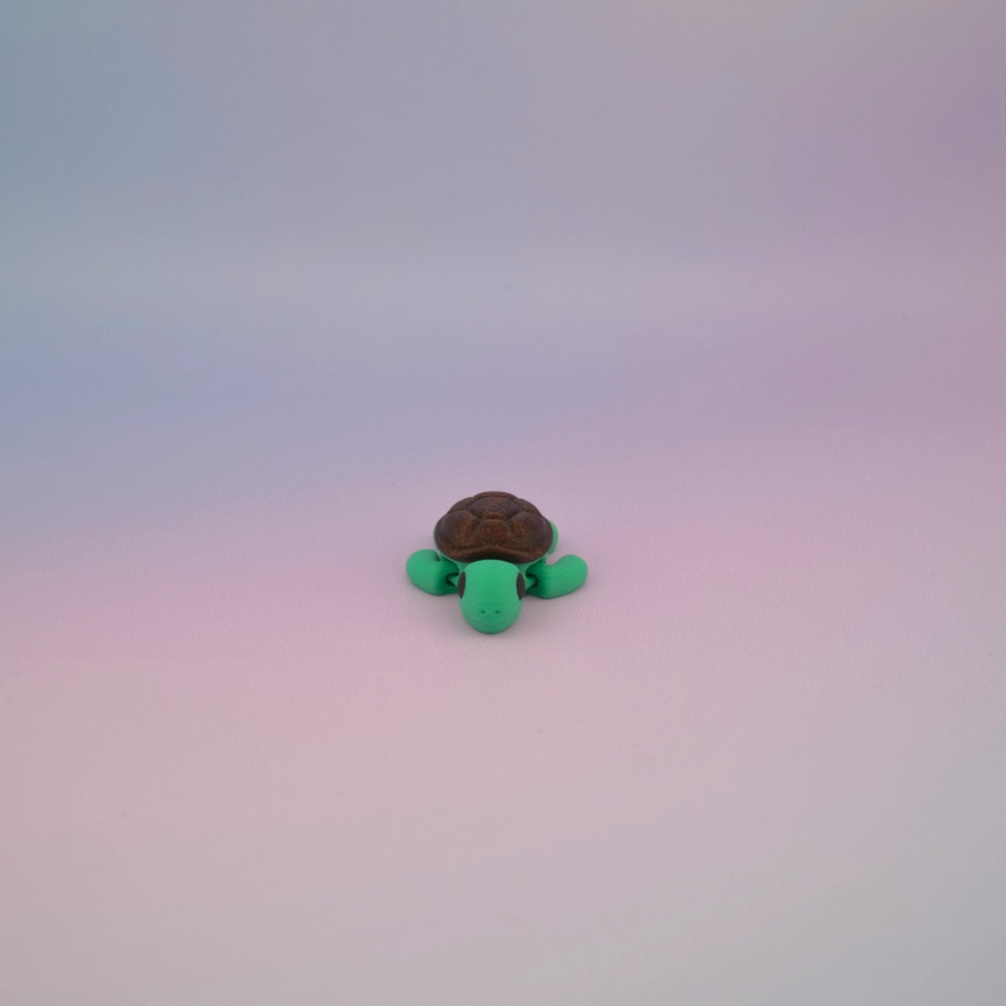 Teeny Tiny Turtle
