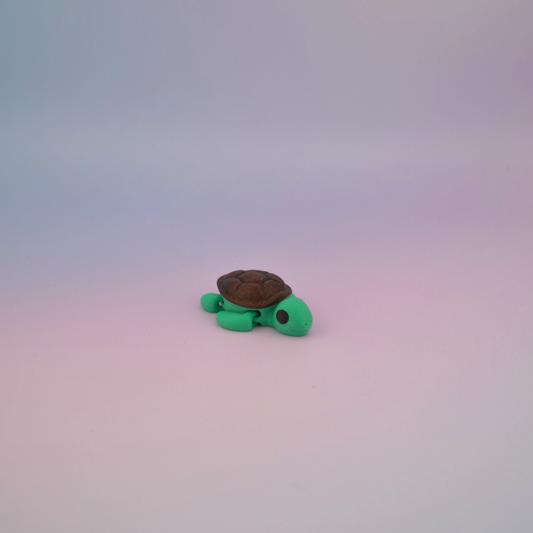 Teeny Tiny Turtle