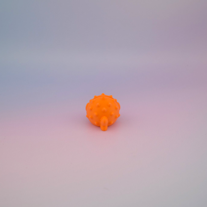 Teeny Tiny Puffer Fish