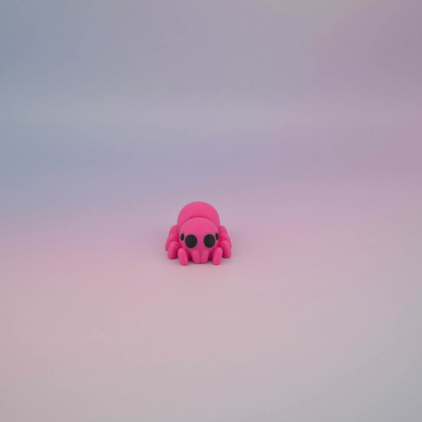 Teeny Tiny Spider