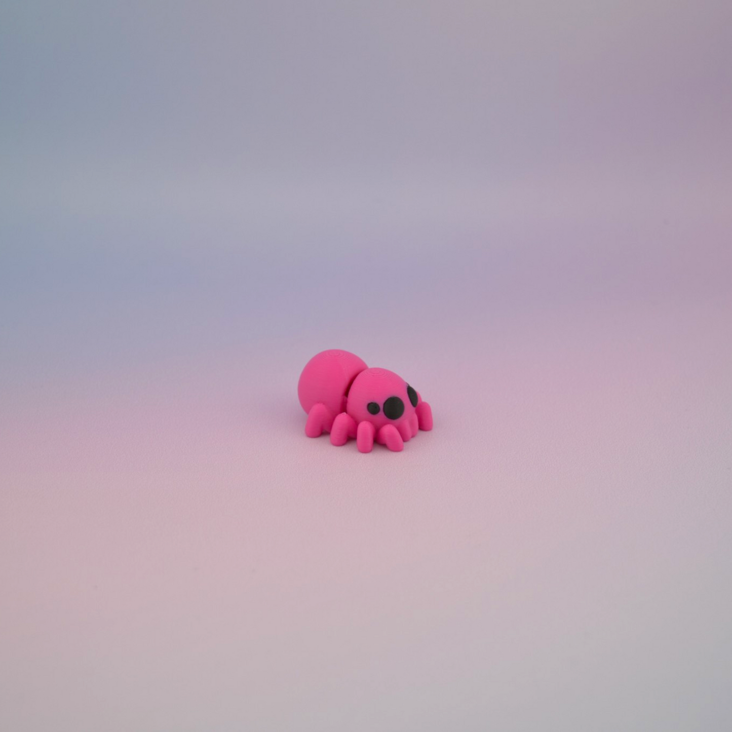 Teeny Tiny Spider