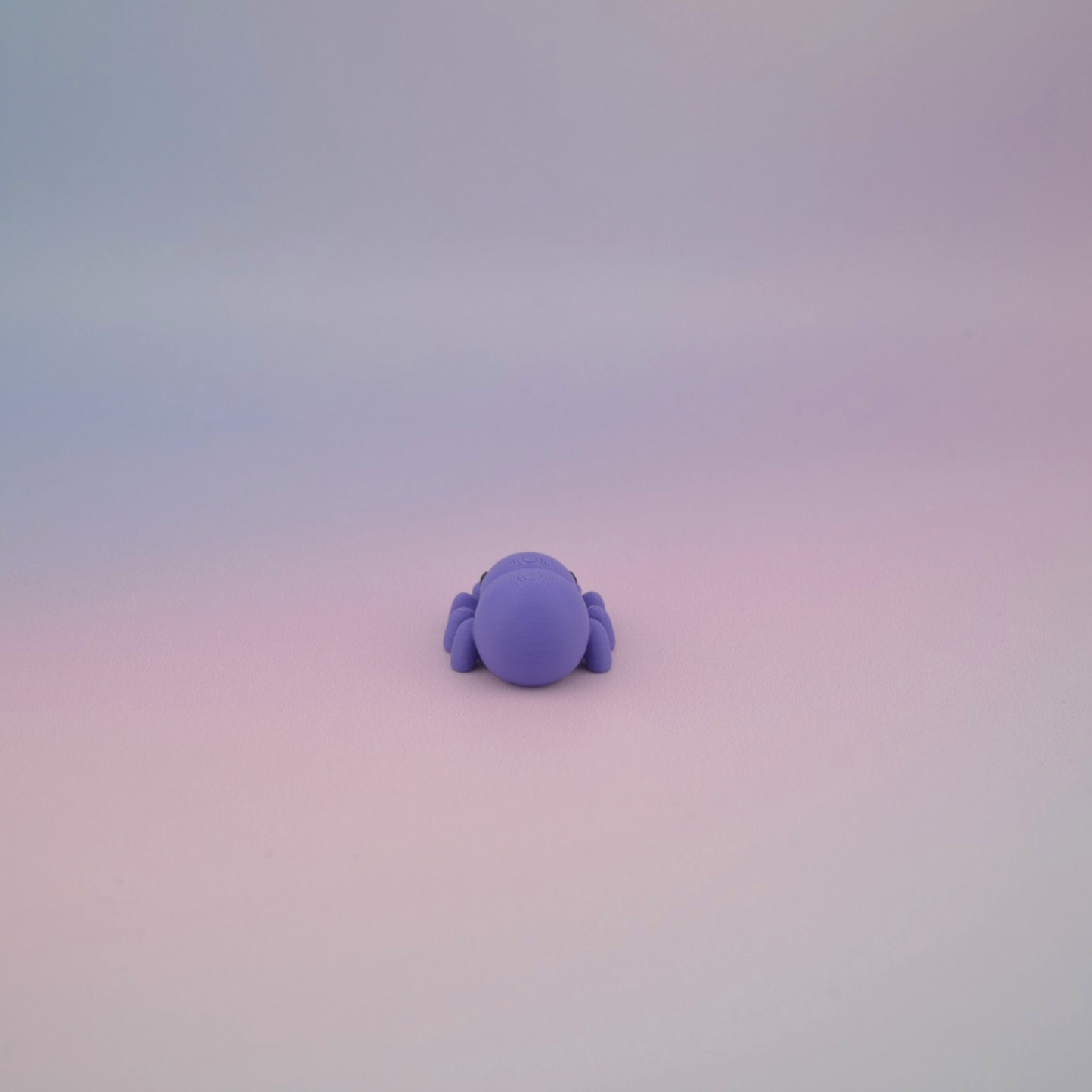 Teeny Tiny Spider