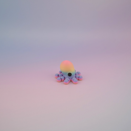 Teeny Tiny Octopus