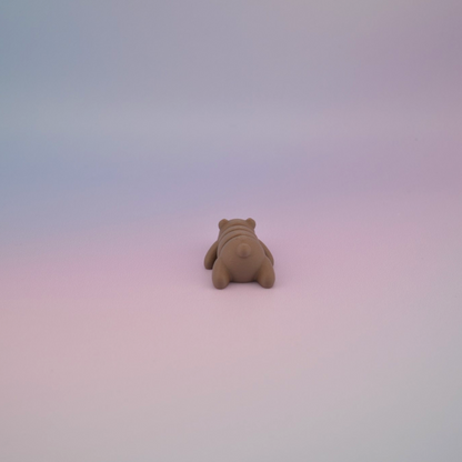 Teeny Tiny Bear