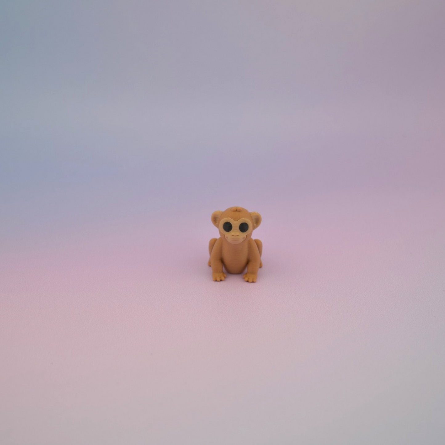 Teeny Tiny Monkey